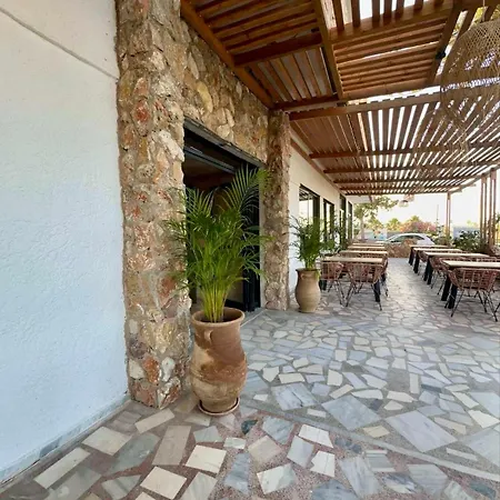 Hotell Aegean Pearl Tigaki